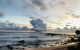 Pearl Gardens Midigama